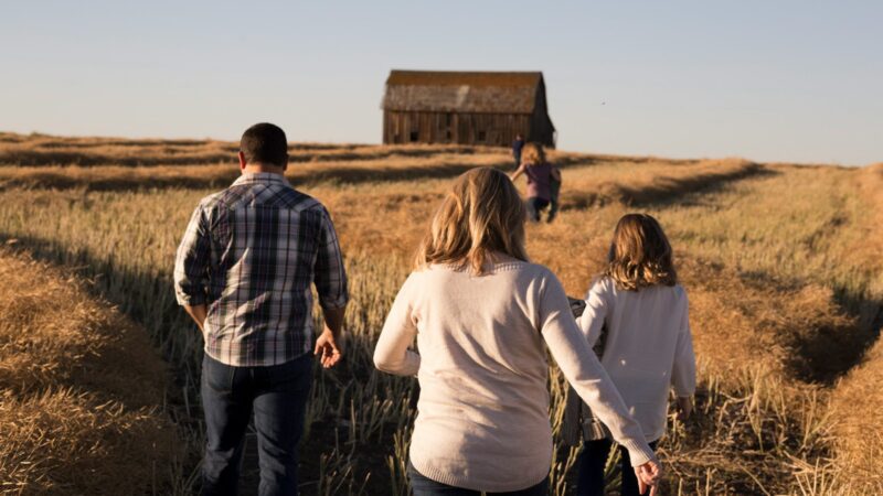 man and women walks on grasses during daytime